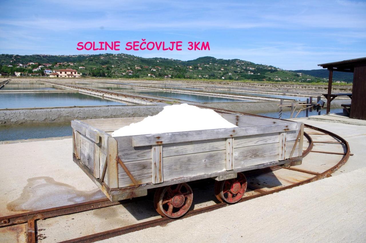 Prázdninový dům Floating House Sea Queen Portorož